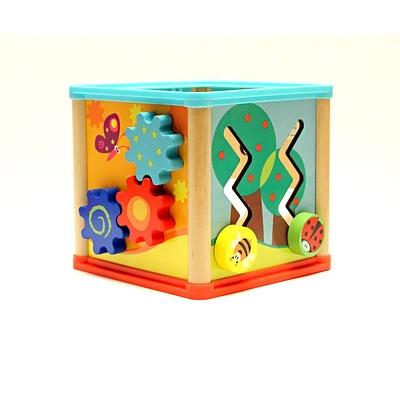 5 in 1 Activity Cube