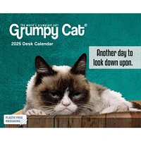 Grumpy Cat Box 2025 Calendar