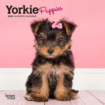 Yorkshire Terrier Puppies Mini 2025 Calendar