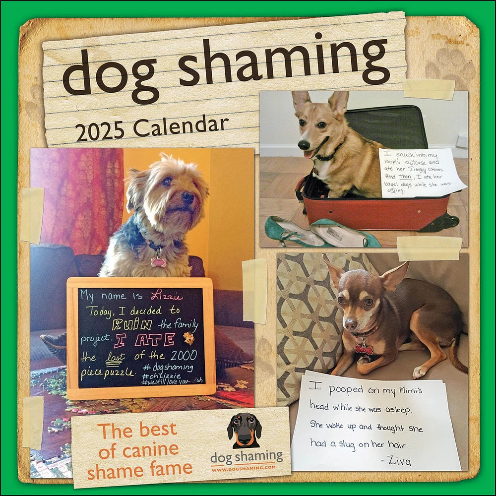 Dog Shaming Wall 2025 Calendar