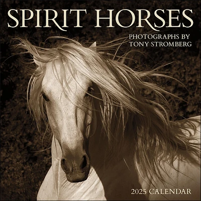 Spirit Horses Wall 2025 Calendar