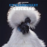 Extraordinary Chickens Wall 2025 Calendar