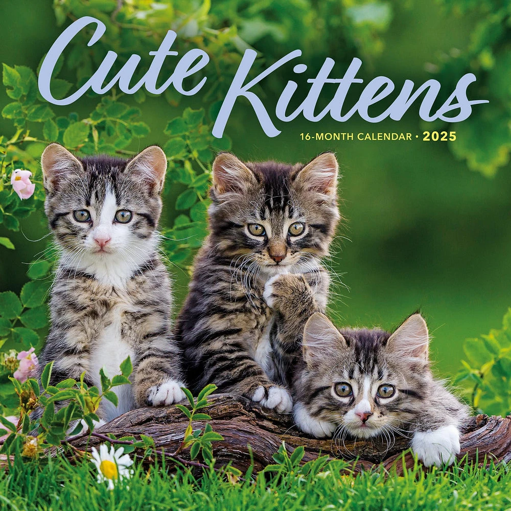 Kittens Cute Wall 2025 Calendar