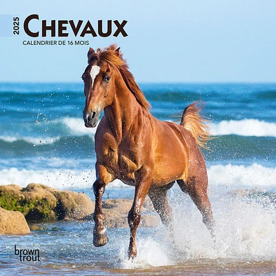 Chevaux Mini 2025 Calendar (French)