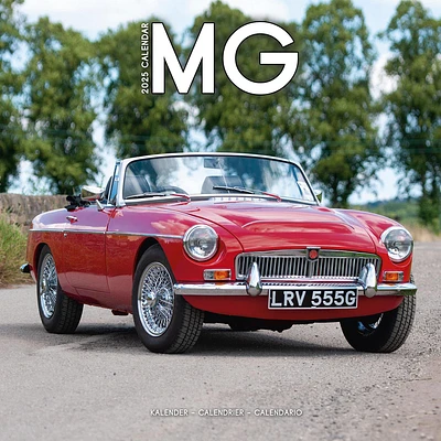 Mg Wall 2025 Calendar - Online Exclusive