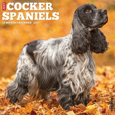 Just Cocker Spaniels Wall 2025 Calendar