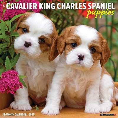 Just Cavalier King Charles Spaniel Puppies Wall 2025 Calendar - Online Exclusive