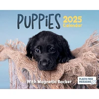 Puppies Small Box 2025 Calendar