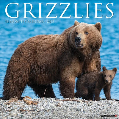 Grizzlies Wall 2025 Calendar