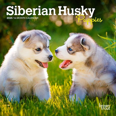 Siberian Husky Puppies Mini 2025 Calendar