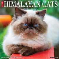 Just Himalayan Cats Wall 2025 Calendar