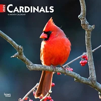 Cardinals Wall 2025 Calendar