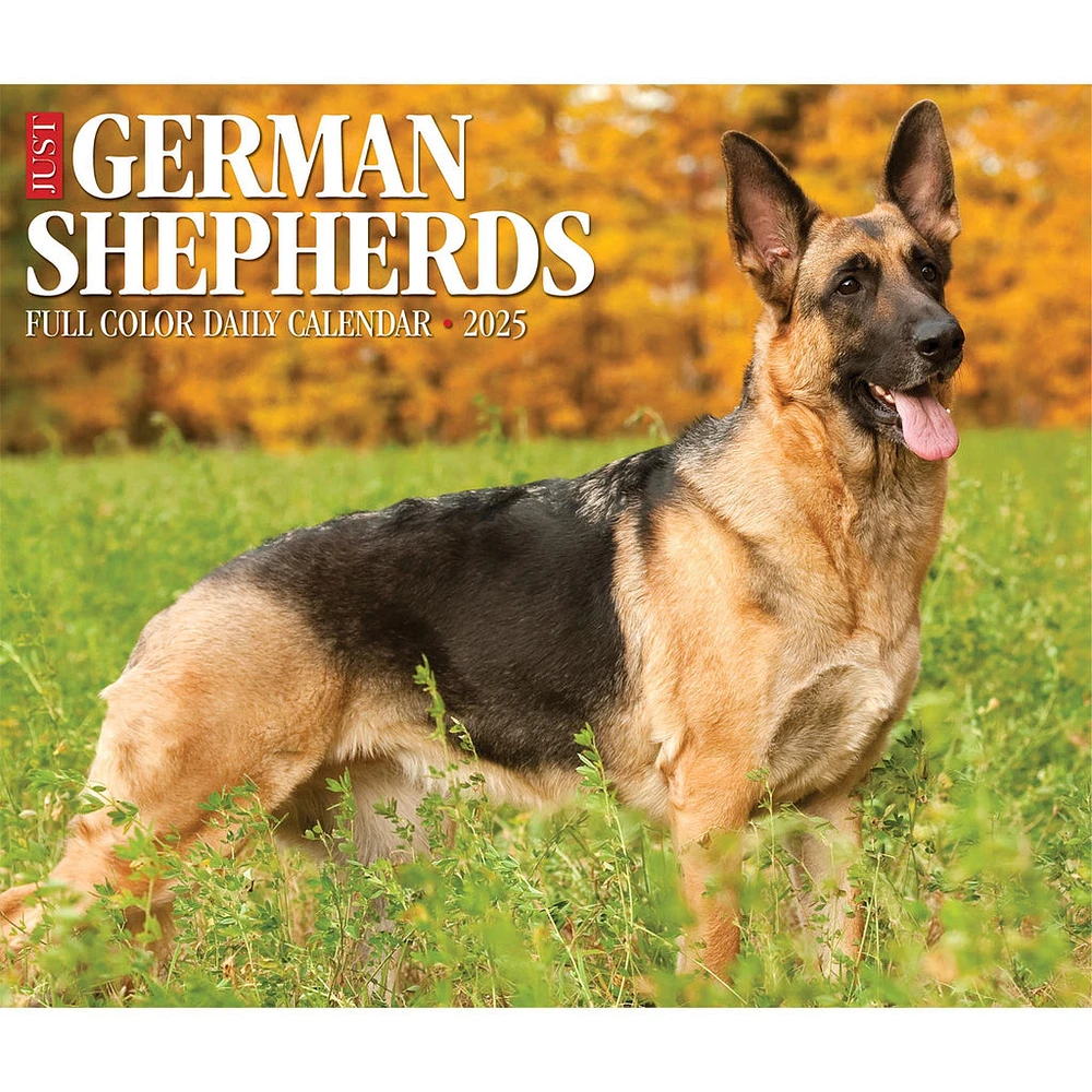 Just German Shepherds Box 2025 Calendar - Online Exclusive