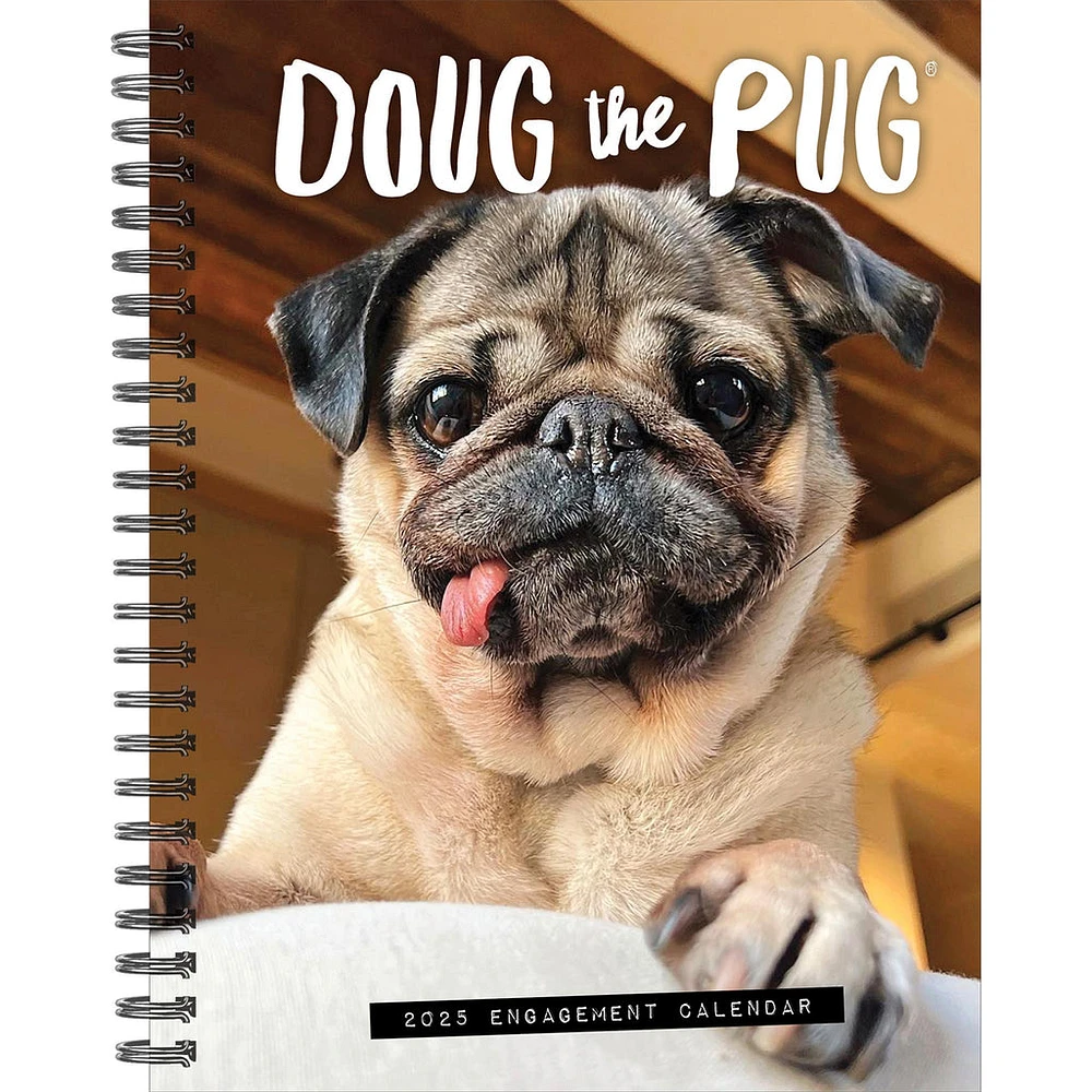 Doug The Pug Engagement 2025 Calendar - Online Exclusive