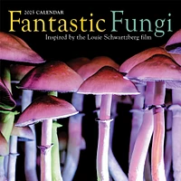 Fantastic Fungi Wall 2025 Calendar - Online Exclusive