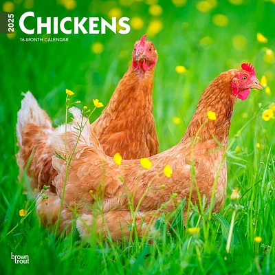 Chickens Wall 2025 Calendar