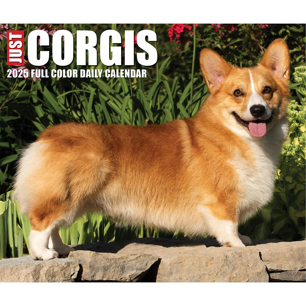 Just Corgis Box 2025 Calendar - Online Exclusive