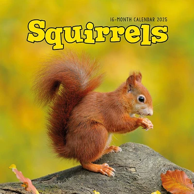 Squirrels Wall 2025 Calendar