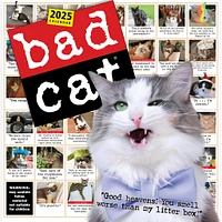 Bad Cat Wall 2025 Calendar - Online Exclusive