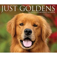 Just Goldens Box 2025 Calendar