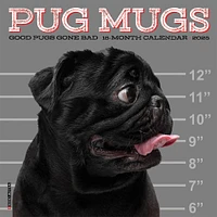 Pug Mugs Mini 2025 Calendar