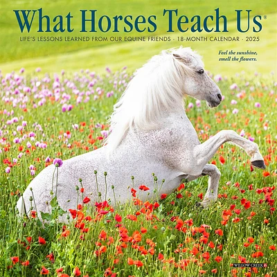 What Horses Teach Us Mini 2025 Calendar