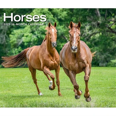 Horses Deluxe Wall 2025 Calendar