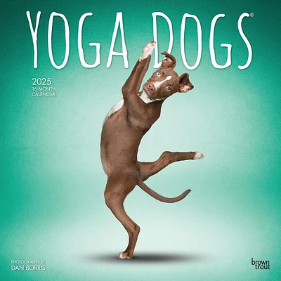 Yoga Dogs Wall 2025 Calendar