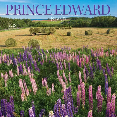 Prince Edward Island Wall 2025 Calendar - Online Exclusive