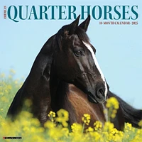 American Quarter Horses Wall 2025 Calendar