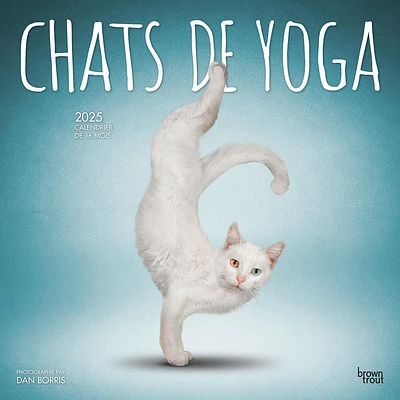 Chats De Yoga Wall 2025 Calendar (French)