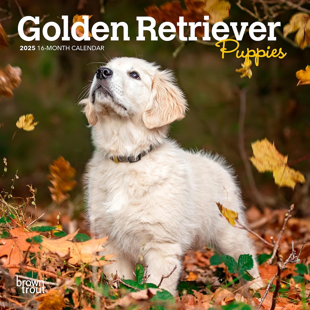 Golden Retriever Puppies Mini 2025 Calendar