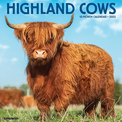 Highland Cows Wall 2025 Calendar - Online Exclusive