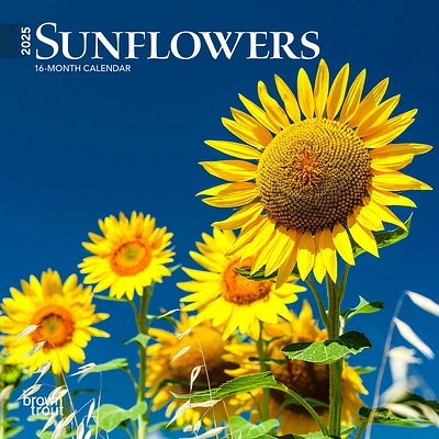 Sunflowers Mini 2025 Calendar