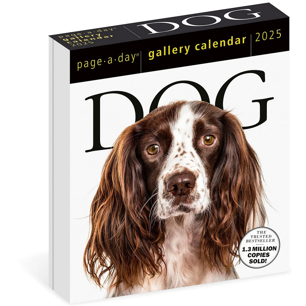 Dog Gallery Box 2025 Calendar