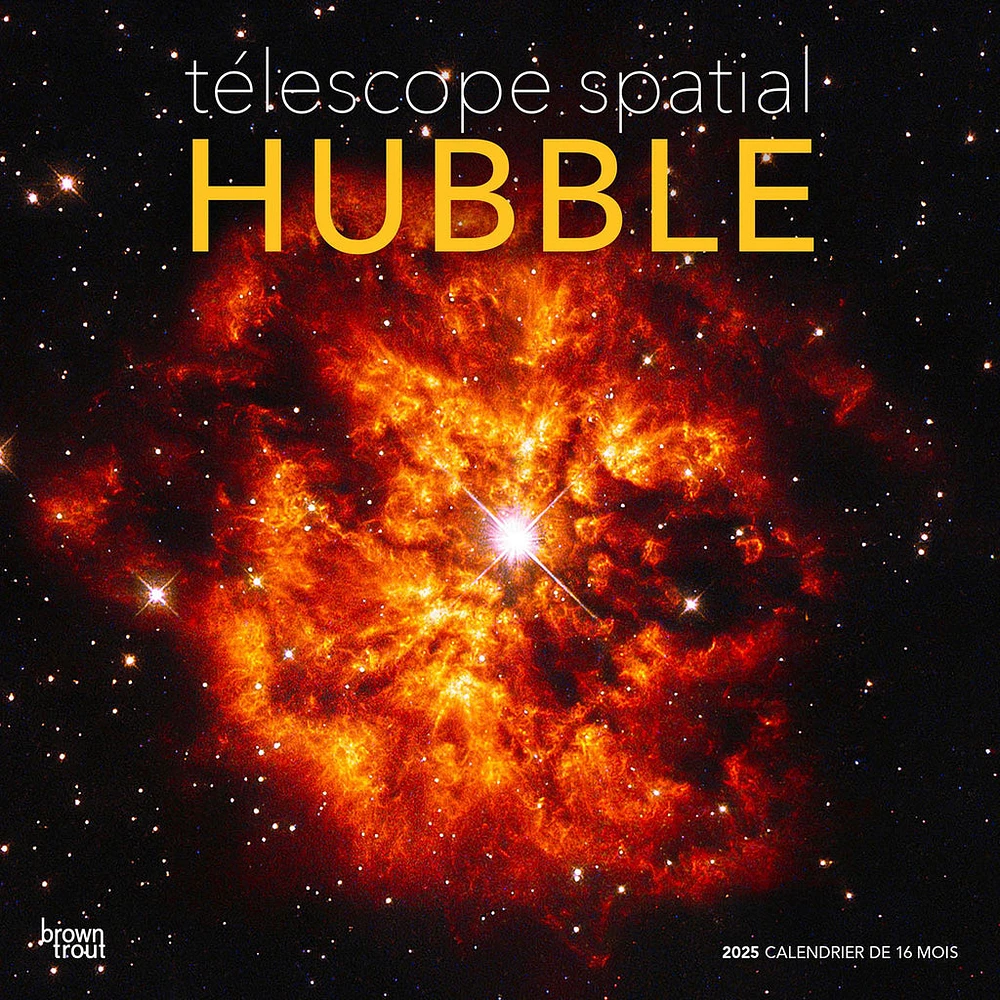 Telescope Spatial Hubble Fr Wall 2025 Calendar