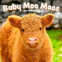 Baby Moo Moos Wall 2025 Calendar - Online Exclusive