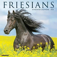 Friesians Wall 2025 Calendar - Online Exclusive