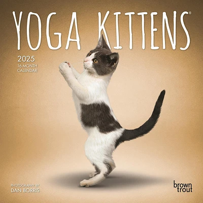 Yoga Kittens Mini 2025 Calendar