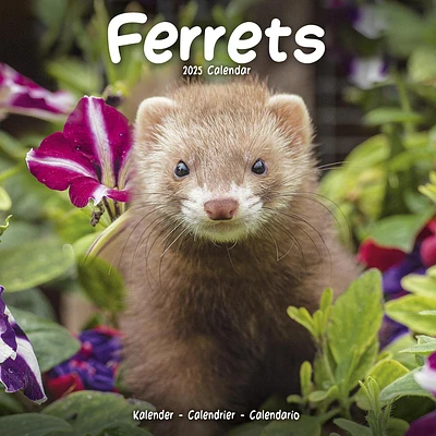 Ferrets Wall 2025 Calendar