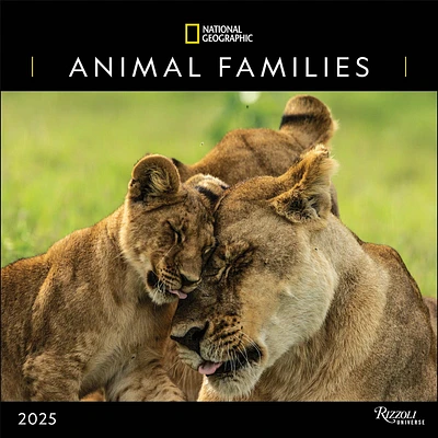 Animal Families National Geographic Wall 2025 Calendar - Online Exclusive