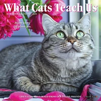 What Cats Teach Us Mini 2025 Calendar