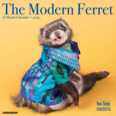 Modern Ferret Wall 2025 Calendar