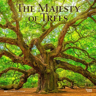 Majesty Of Trees Wall 2025 Calendar - Online Exclusive