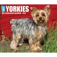 Just Yorkies Box 2025 Calendar - Online Exclusive