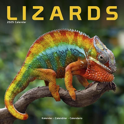 Lizards Wall 2025 Calendar