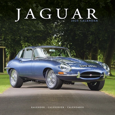 Jaguar Wall 2025 Calendar - Online Exclusive