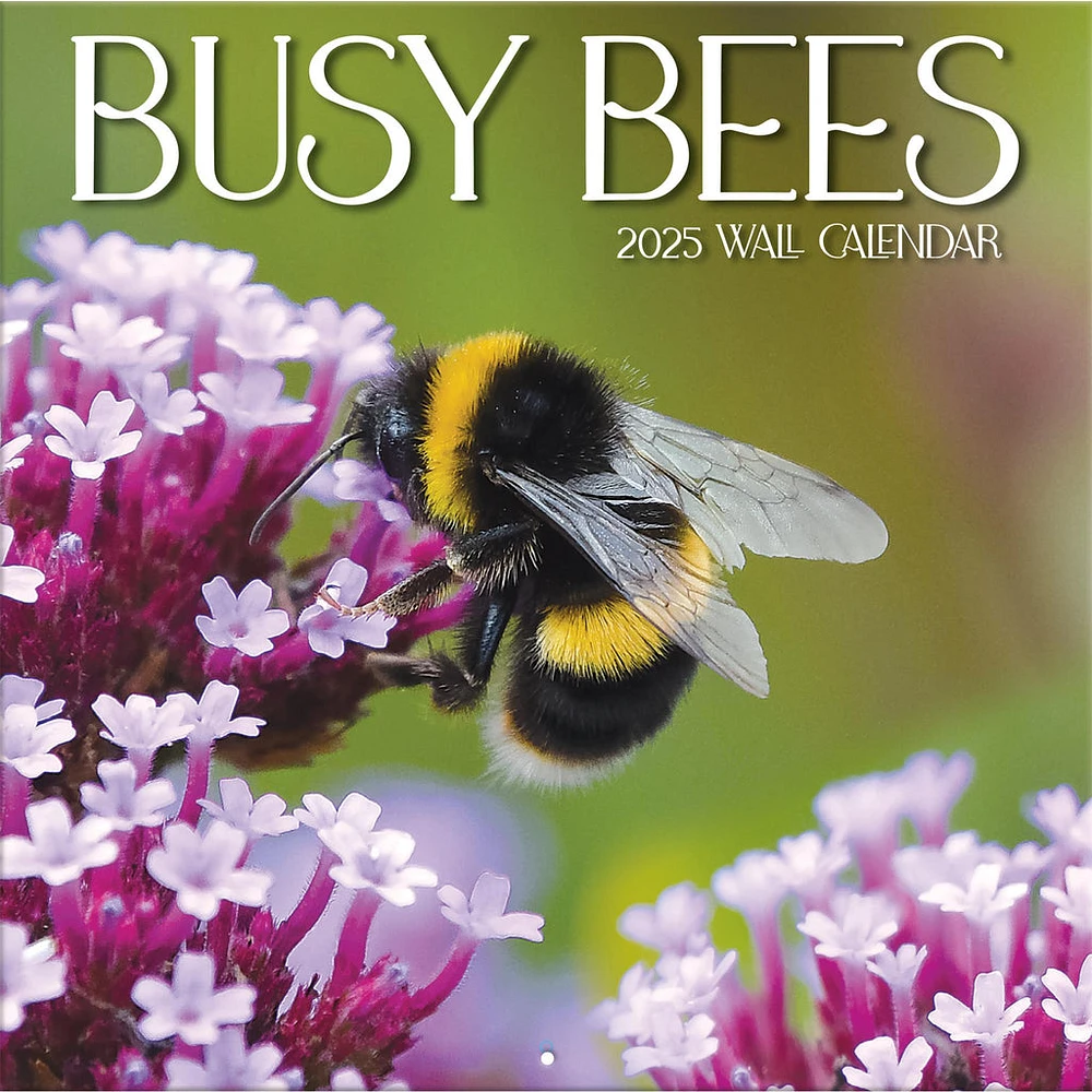 Busy Bees Wall 2025 Calendar