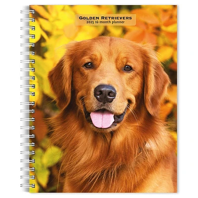 Golden Retrievers Engagement 2025 Calendar - Online Exclusive