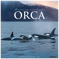 Orca Wall 2025 Calendar